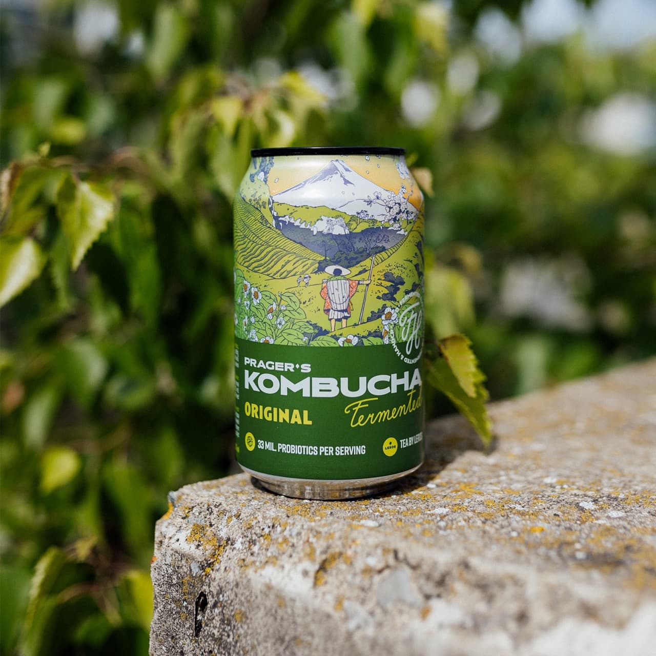 Close-up of Prager's Kombucha Original bottle