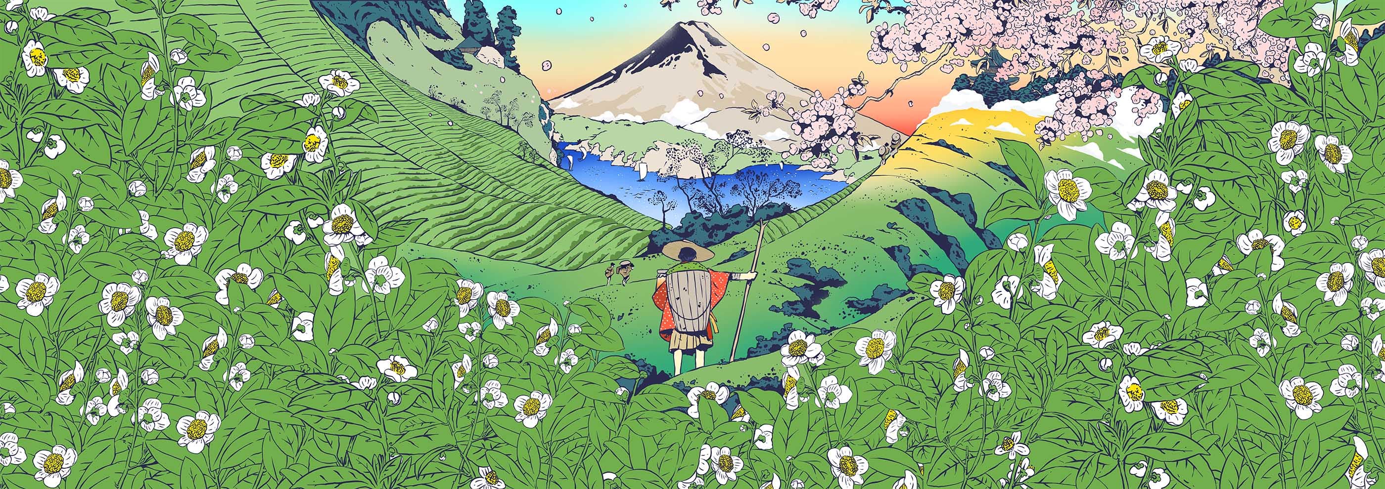 kombucha Illustration
